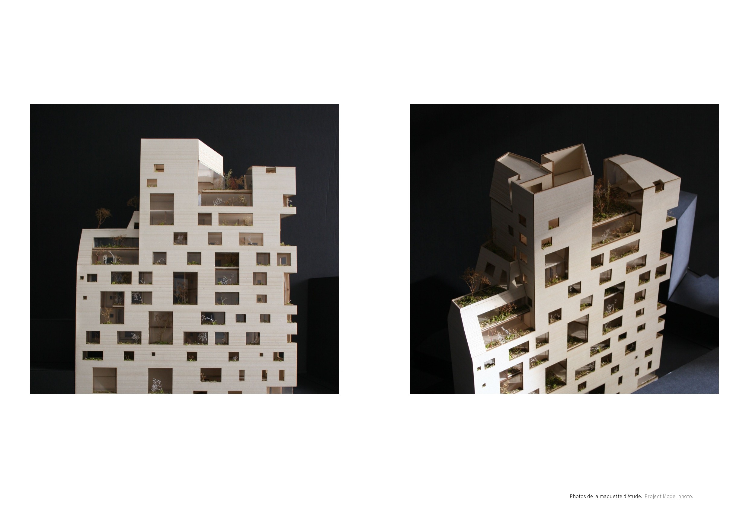 2021_LGA_STONE GARDEN-21_page-0001